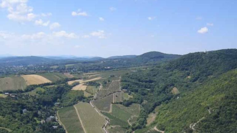 Der Wienerwald - Die Weinberge oberhalb des Kahlenbergerdorfs mit Blick nach Südwesten