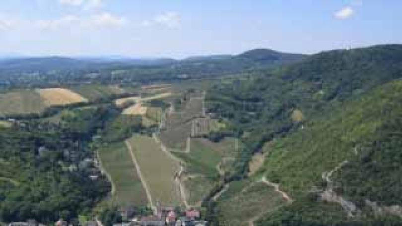 copyright: Brigitte Berger Der Wienerwald - Die Weinberge oberhalb des Kahlenbergerdorfs mit Blick nach Südwesten