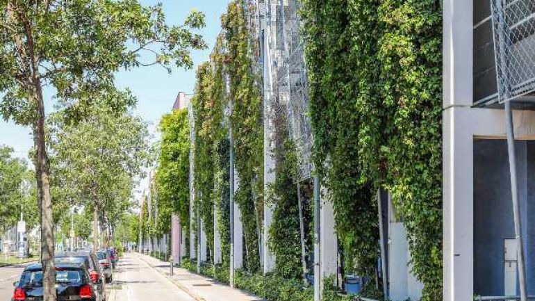 Haus mit begrünter Fassade