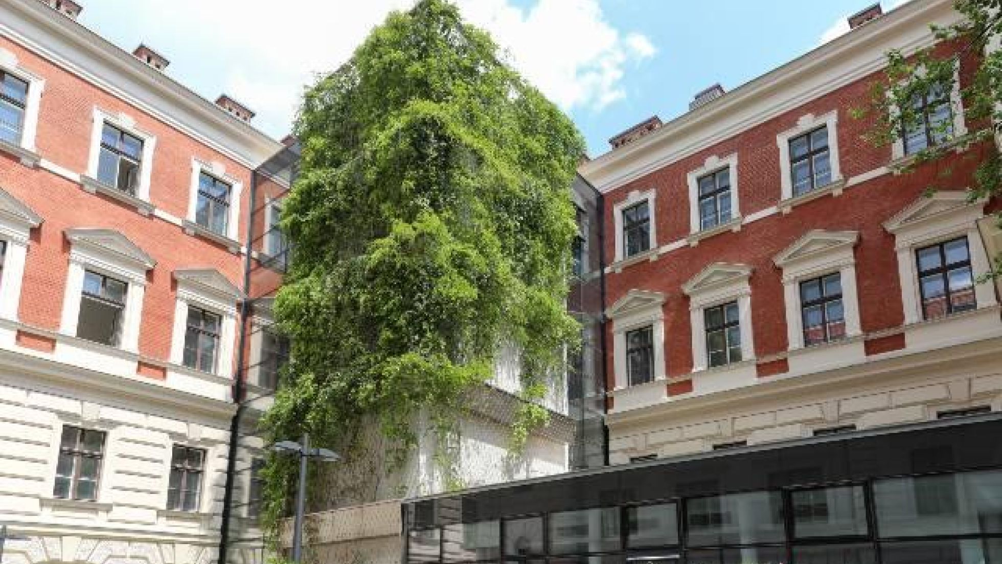 Haus mit begrünter Fassade