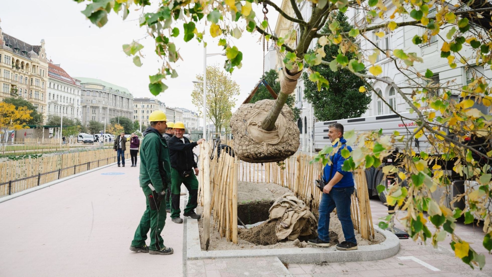 copyright: Stadt Wien/Luiza Puiu 3 Männer in Arbeitskleidung pflanzen einen großen Baum im Stadtgebiet, daneben ein Gehweg.