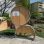 copyright: Wiltschegg Design-Regal für Bücher aus Holz und Metal im Park