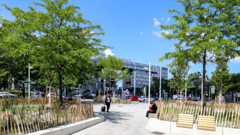 Platz mit Bäumen und Bänken
