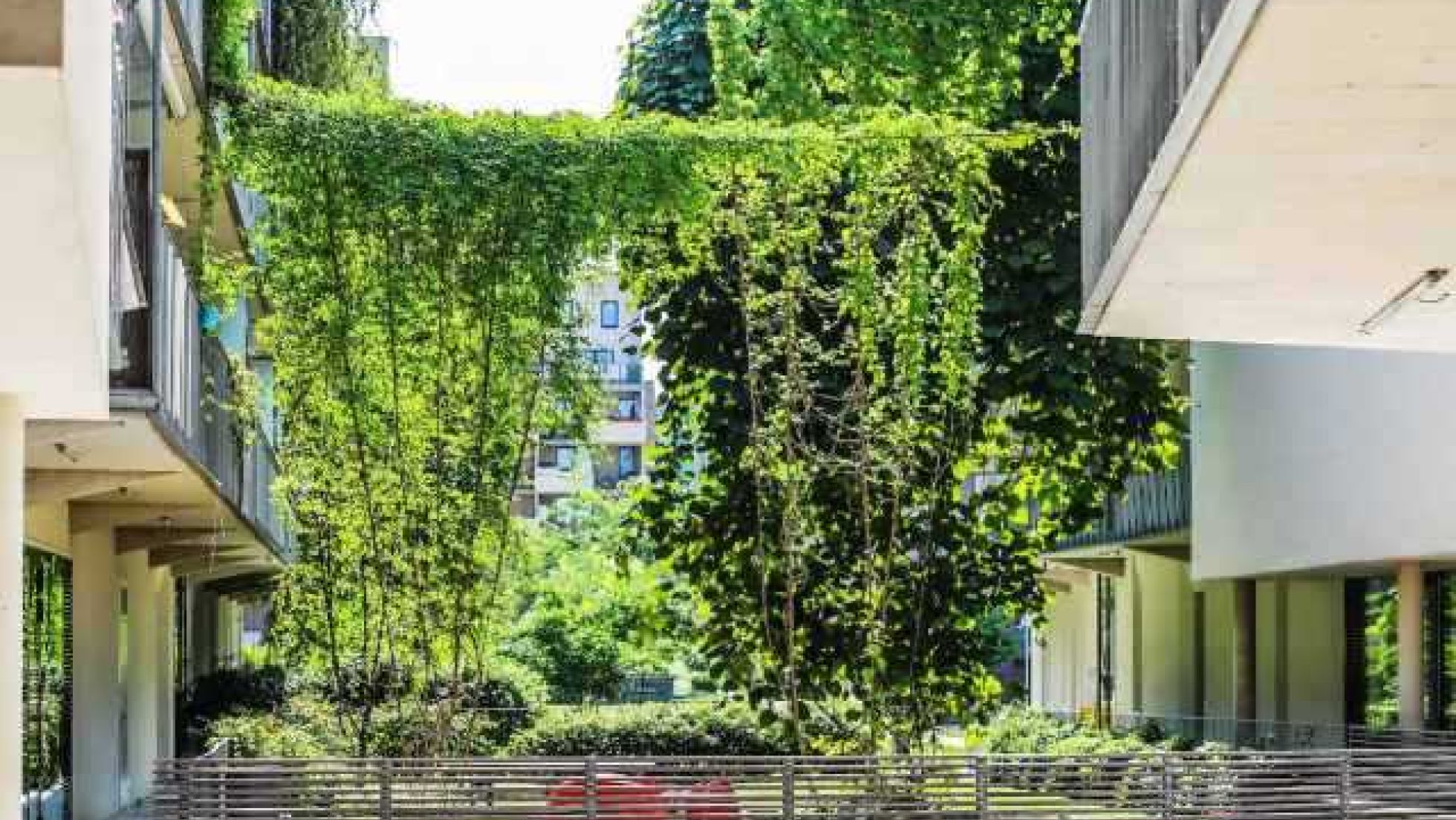 Pflanzen werfen Schatten