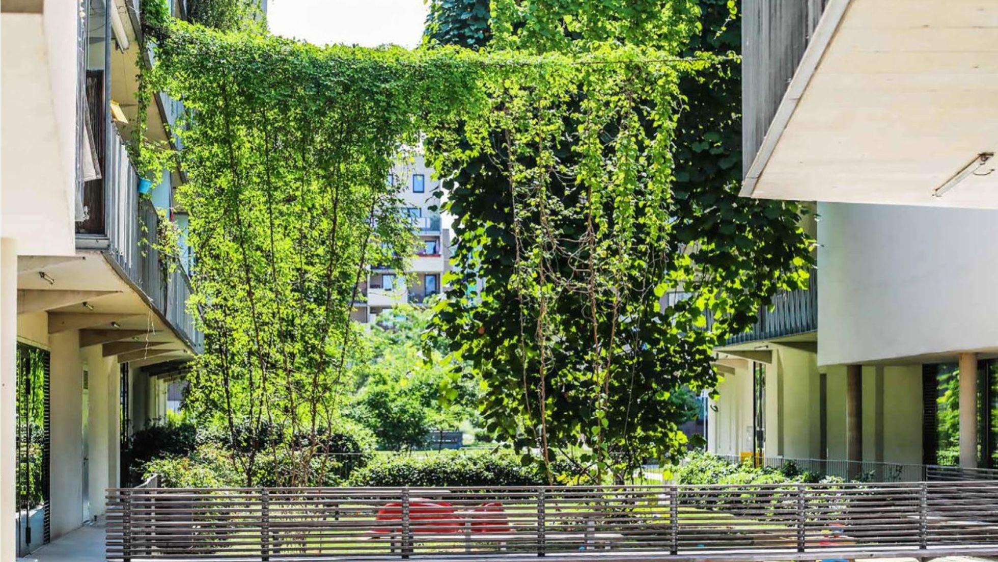 copyright: Jürgen Preiss Pflanzen werfen Schatten