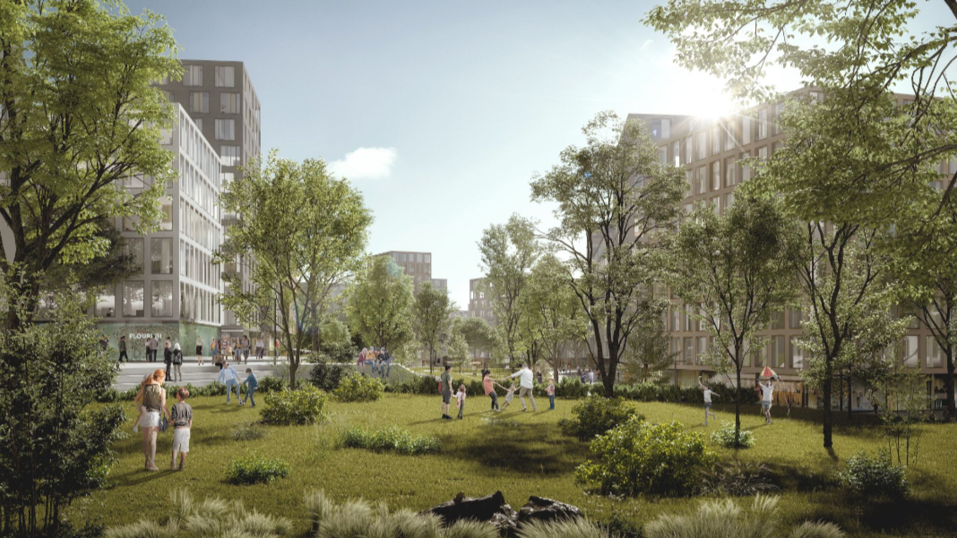 Rendering Grünfläche zwischen Wohngebäuden mit Bäumen