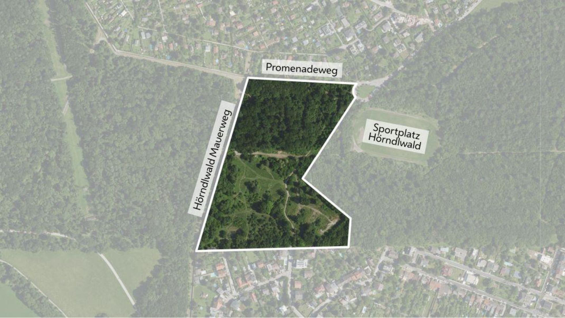 copyright: Stadt Wien Gebietseingrenzung eines Waldstücks