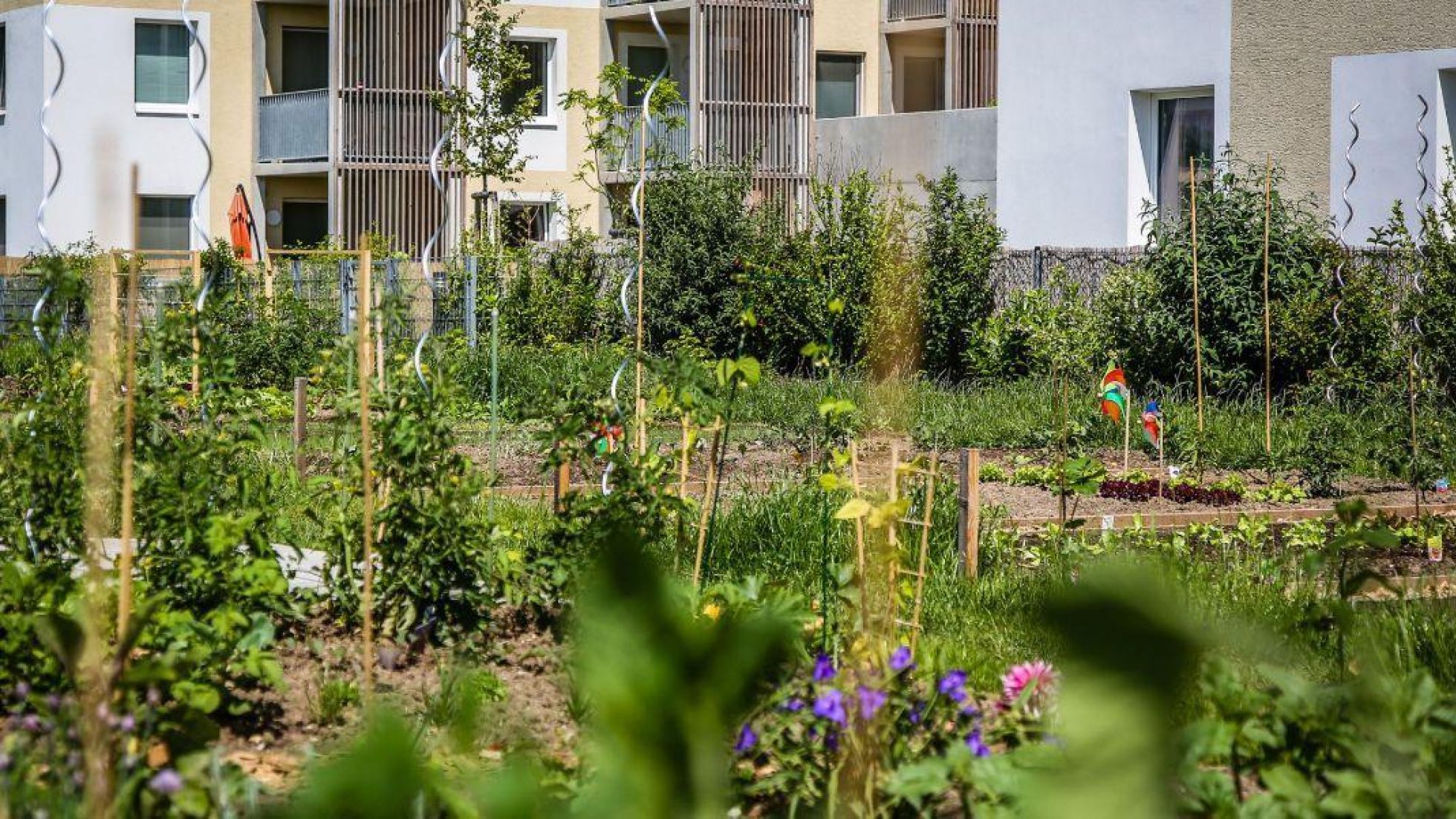 bepflanzte Gemüse- und Blumenbeete