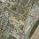 copyright: Stadt Wien/Vienna GIS Luftbild mit Abgrenzung des Bearbeitungsgebiets
