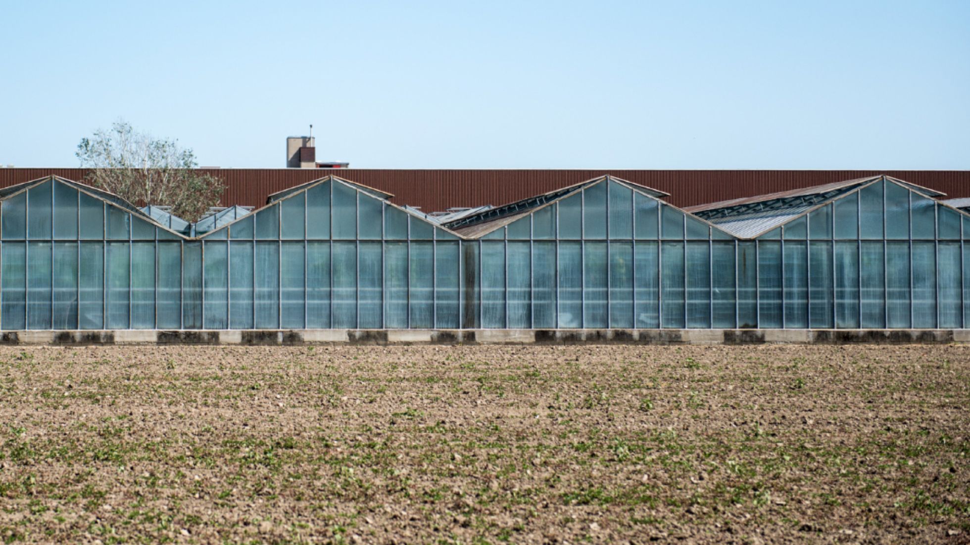 copyright: Daniel Dutkowski Acker