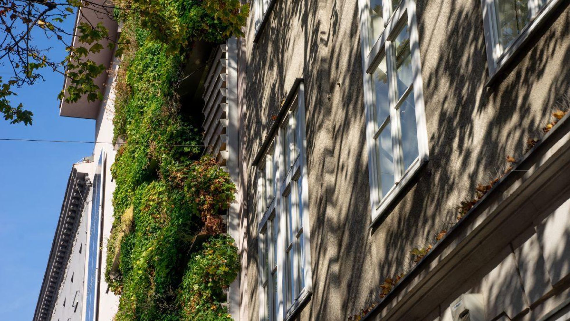Begrünte Hausfassade