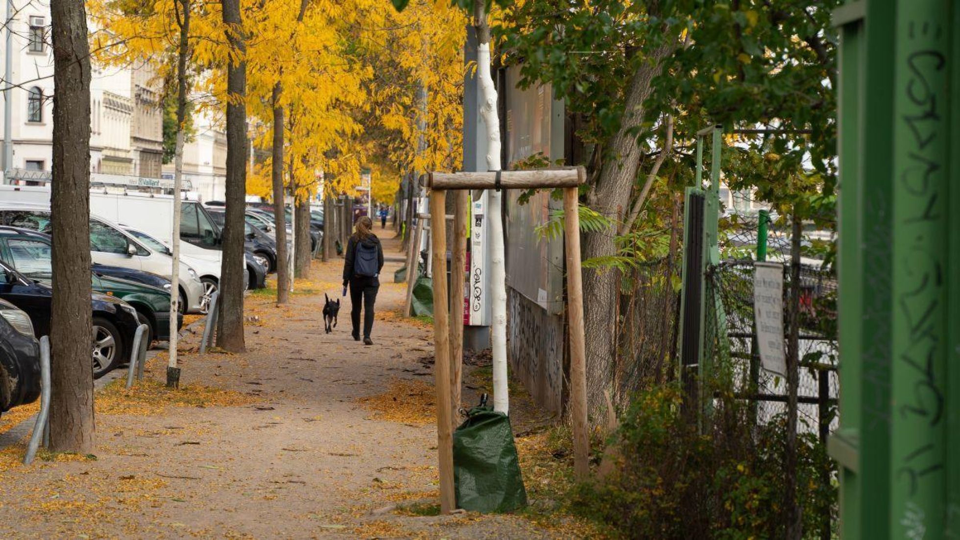 Gehweg mit Bäumen zwischen Weg und Parkplätzen