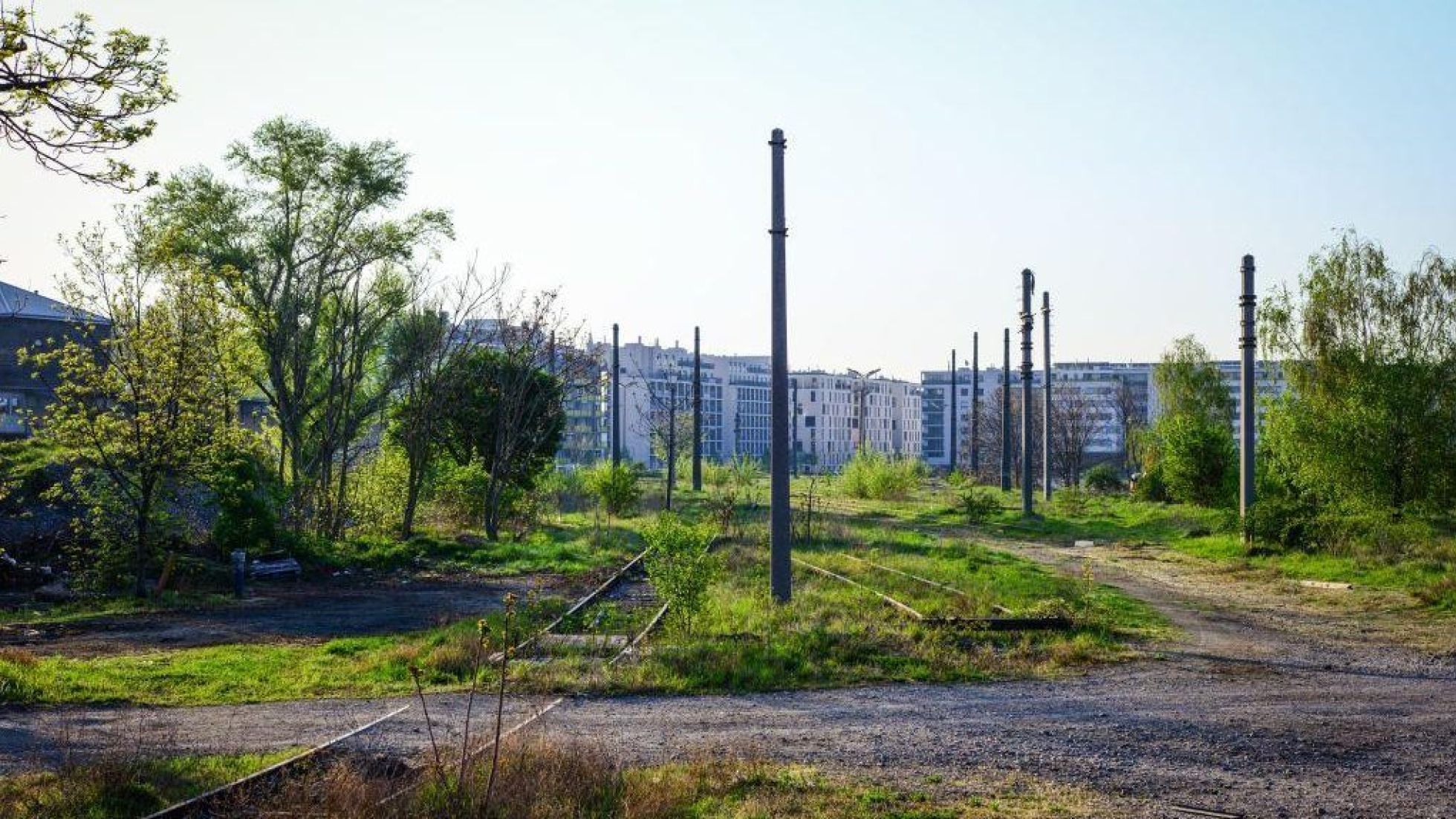 Ehemalige Bahnhofsgleise, dazwischen Wiese, Bäume und Sträucher, im Hintergrund Wohngebäude.