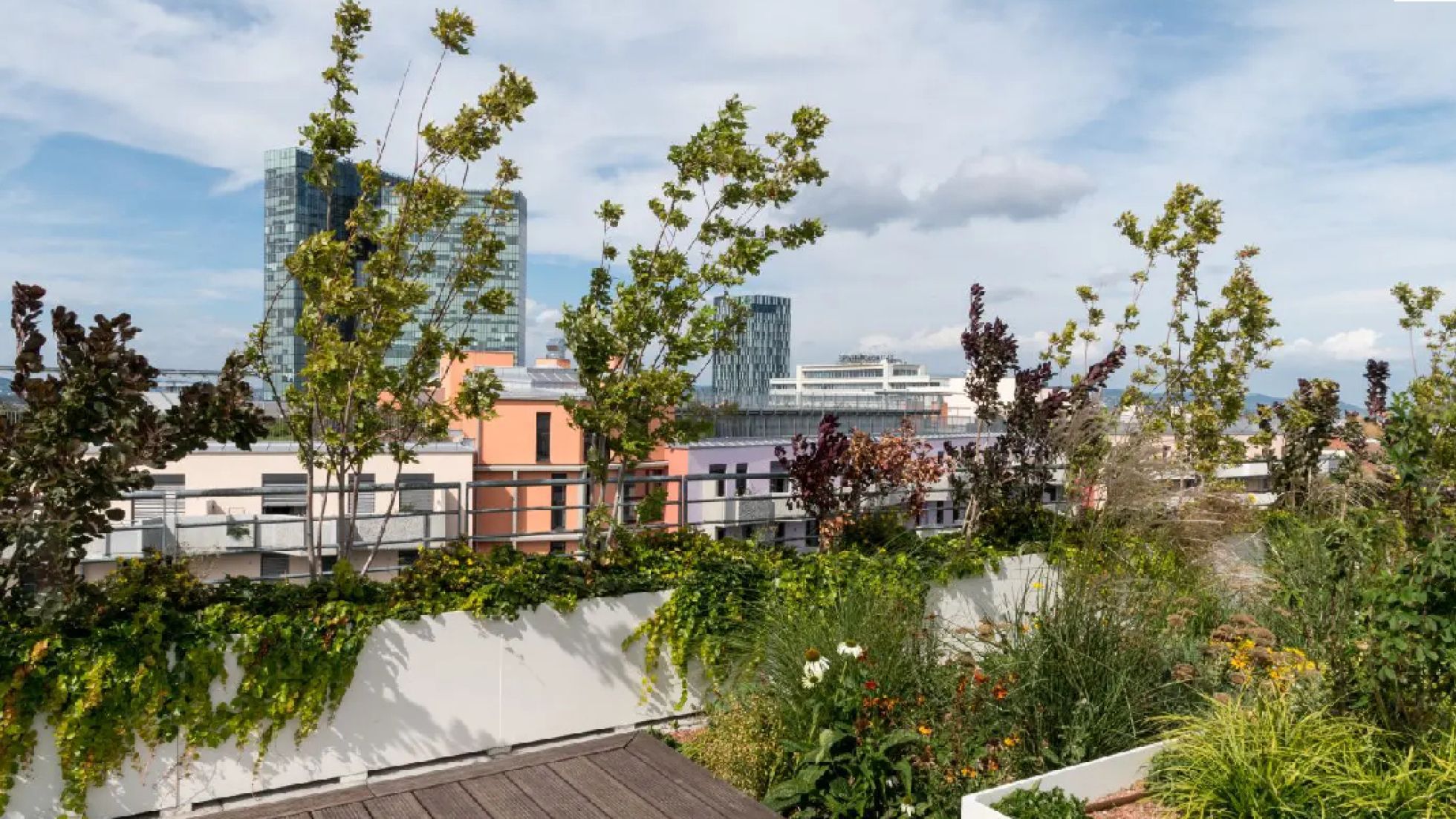 copyright: Stadt Wien/R. Mandl Bepflanzte Dachterrasse mit Ausblick