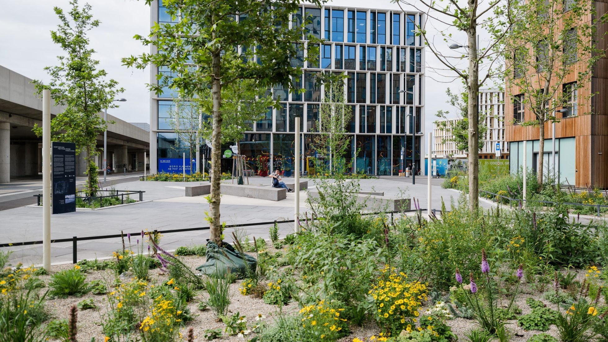 Im Vordergrund Grünbeete mit Baumpflanzungen, in der Platzmitte ein Kunstwerk, im Hintergrund moderne Gebäude