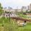 Erholungsraum mit Bäumen, Wiese, Sitzgelegenheiten und Spielplatz