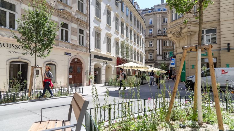 copyright: Stadt Wien / Christian Fürthner Petersplatz mit eingefasster Grünfläche, Sitzbank, dahinter Begegnungszone mit niveaugleicher Ausgestaltung der Straße sowie historischer Gebäudefassaden der Wiener Innenstadt.