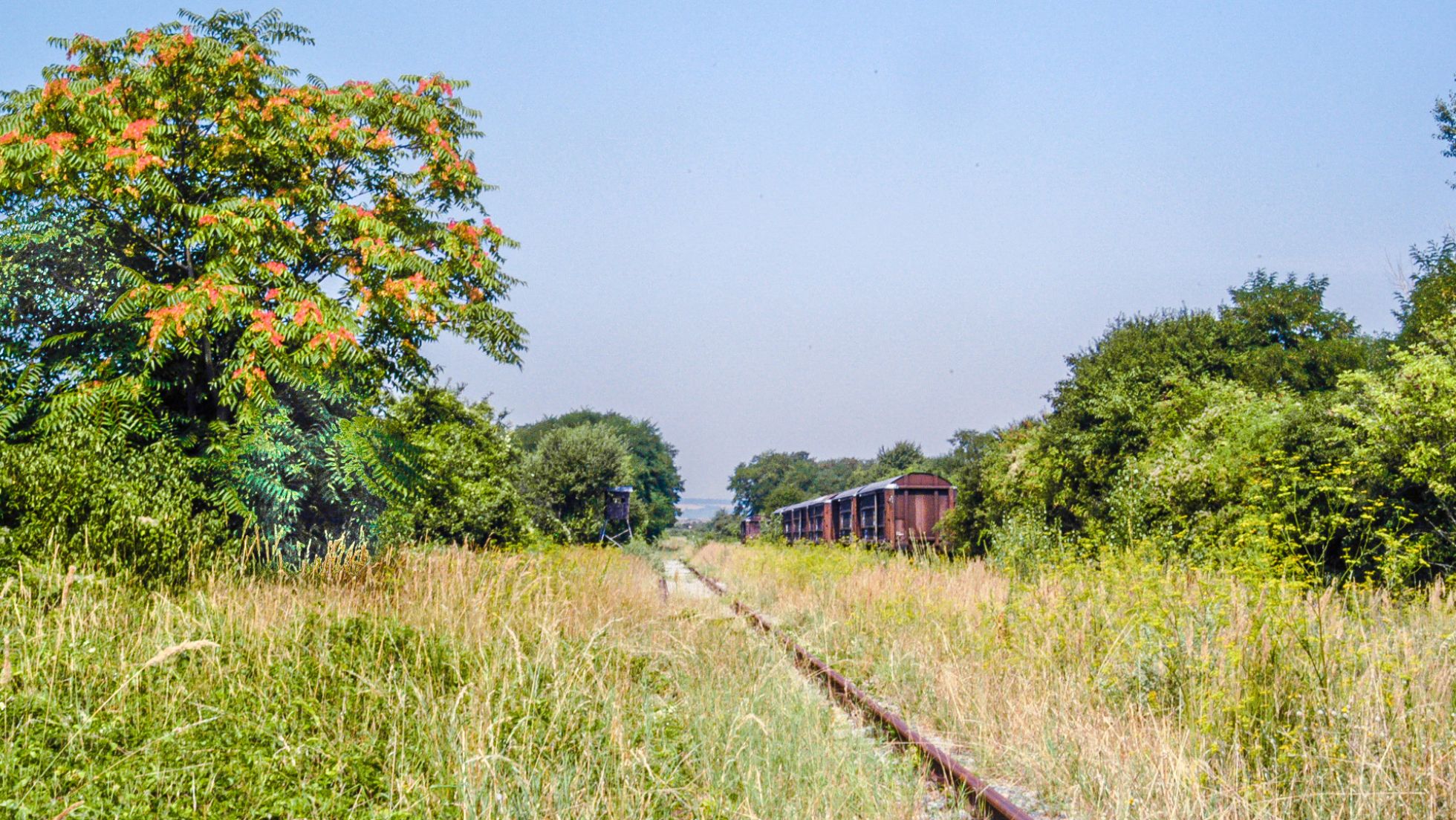 copyright: Adolf Schatten, naturlandschaftenwiens.com Bahngleise, alte Waggons, Brachland
