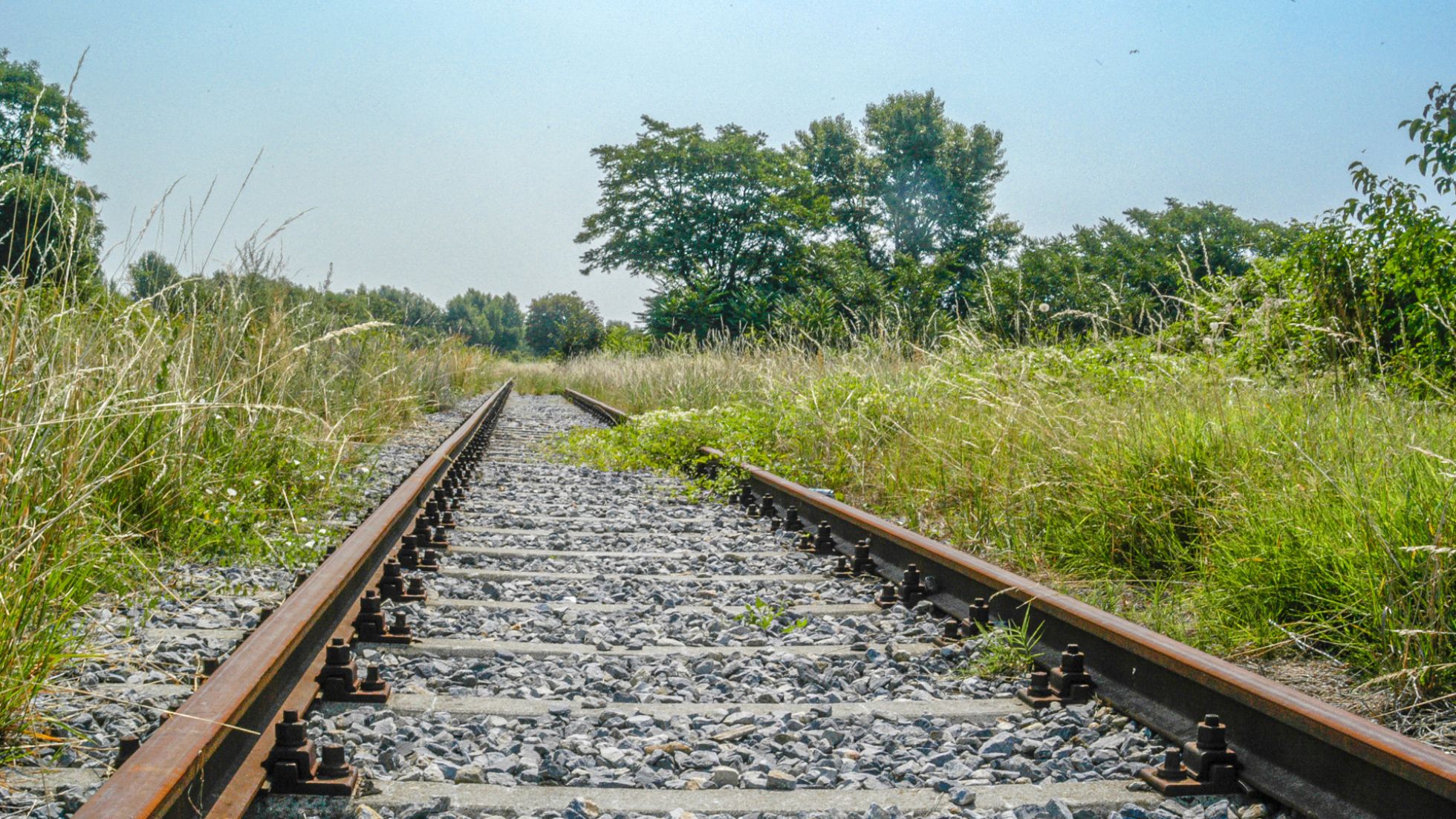 copyright: Adolf Schatten, naturlandschaftenwiens.com Bahngleise, Brachland