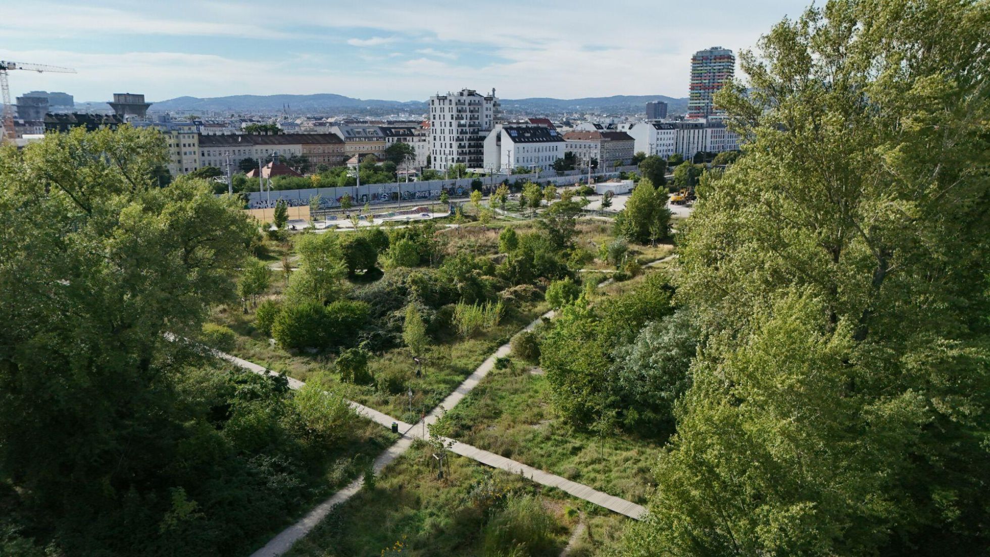 Grünfläche mit Wegen, dahinter Wohngebiet.