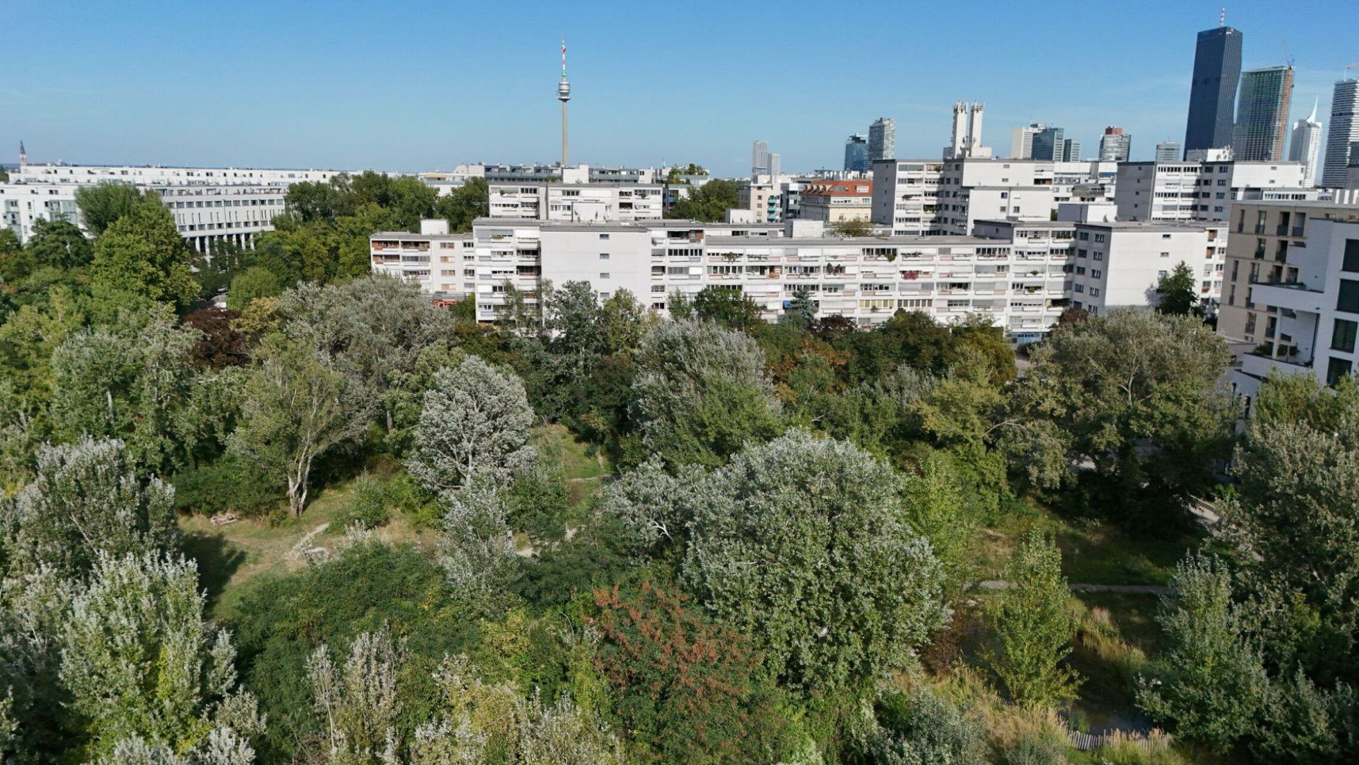 Grünfläche mit vielen Bäumen, dahinter Wohngebäude und die Skyline Wiens.