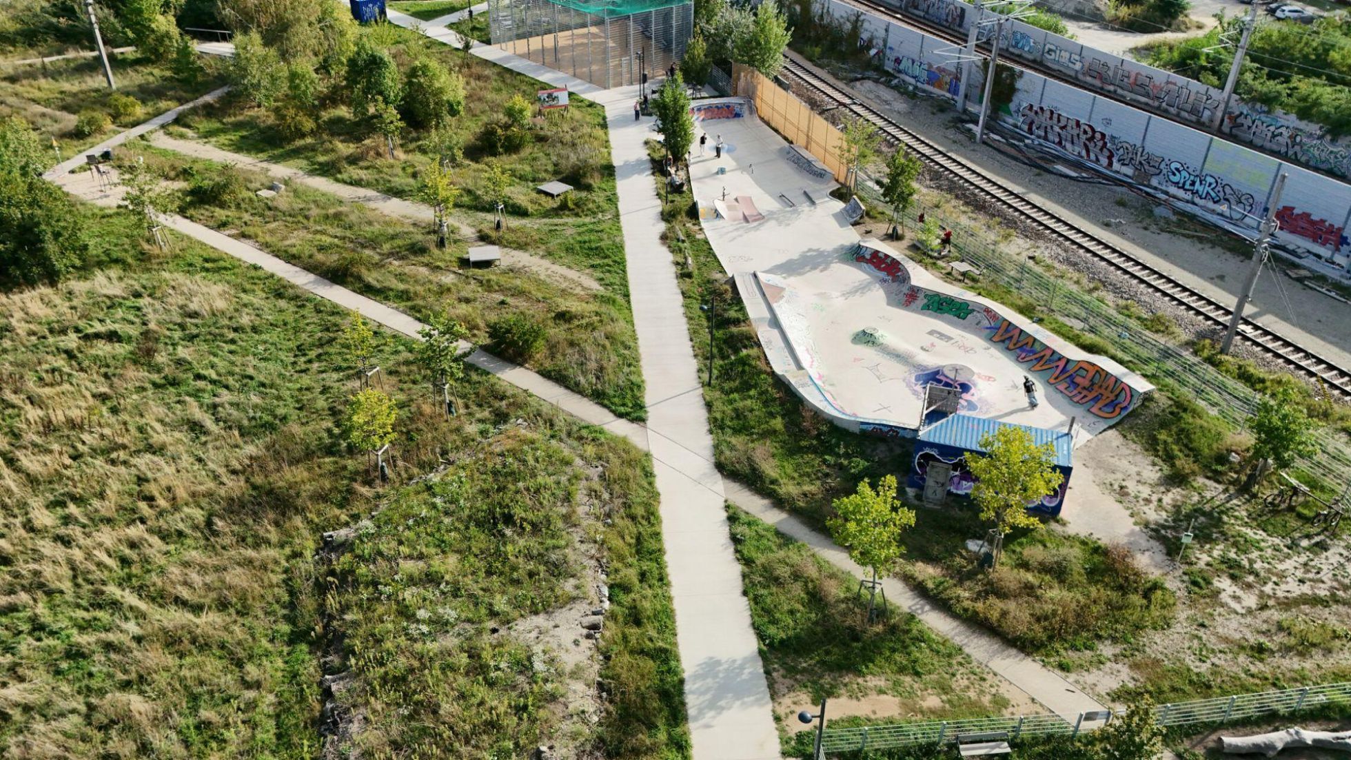 Grüne Fläche mit Wegen, Büschen und Skatepark.