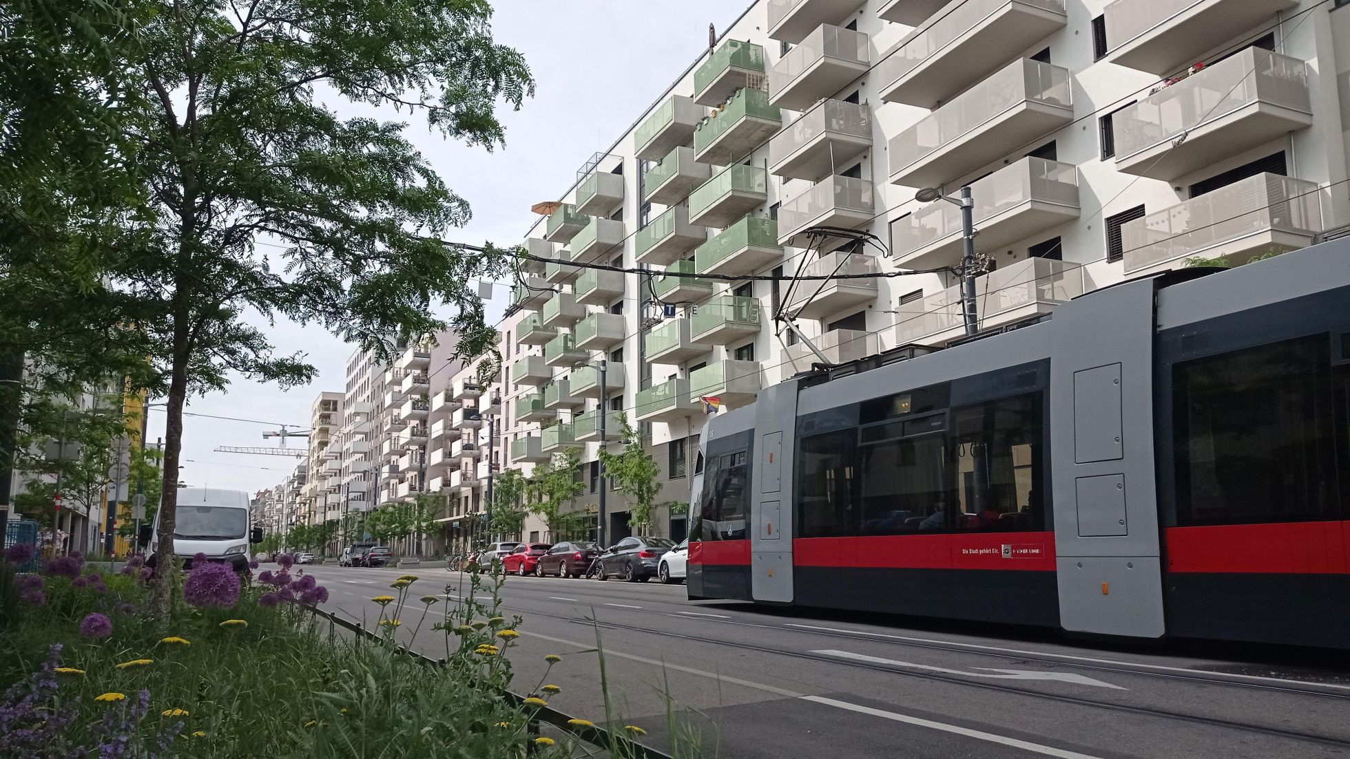 copyright: Stadt Wien Straßenbahn, neben der Straße Blumenbeete und moderne Wohngebäude