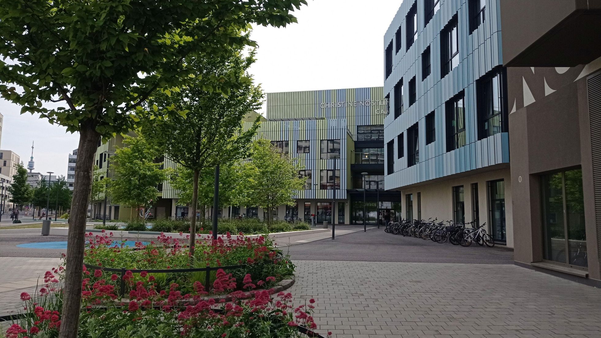 copyright: Stadt Wien Gebäude des Bildungscampus mit blau-grün gestreifter Fassade, davor ein Vorplatz sowie Bäume mit Blumen in den Baumscheiben