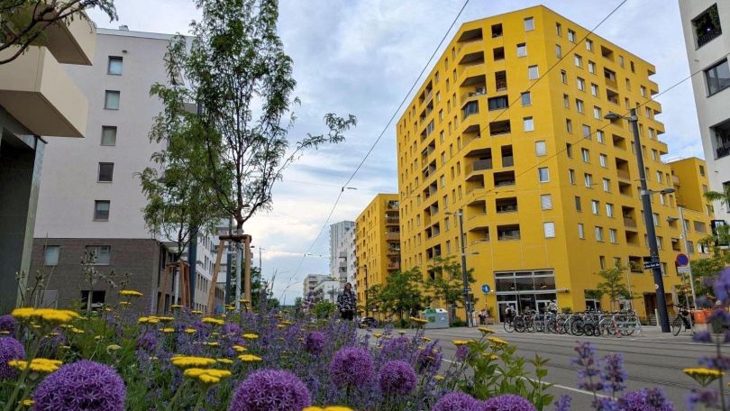 Gelbes Wohngebäude, davor Straße und blühende Beete.