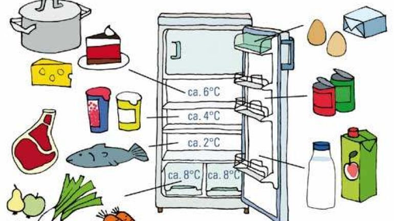 Kühlschrank-Guide; Abbildung, was wohin in den Kühlschrank gehört