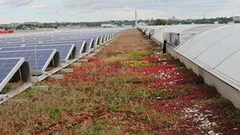 Dachbegrünung  am Briefzentrum in Wien Favoriten