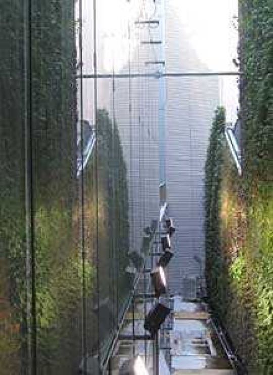 Fassadenbegrünung nach dem System von Patrick Blanc