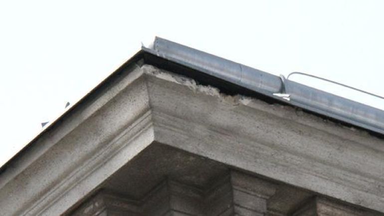 Typischer Brutplatz eines Mauerseglers: unter dem Traufenblech eines Hauses