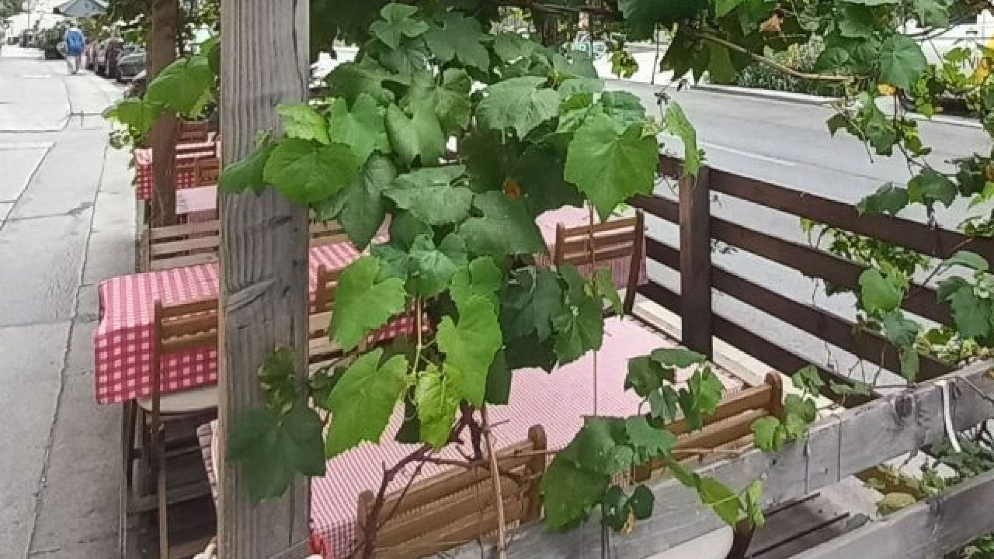 Schanigarten mit Holzlaube und Weinrebe