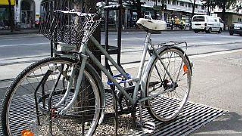 Fahrrad an einen Baumstamm gelehnt