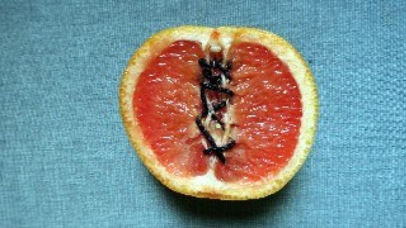 Halbe Orange, in der Mitte vernäht, auf blauem Stoff