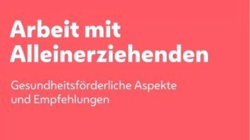 copyright: MA 24 Cover des PDFs "Arbeit mit Alleinerziehenden"