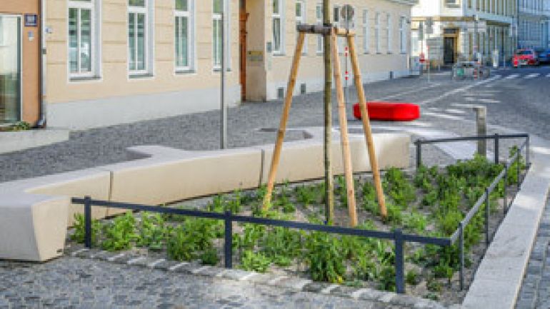 Baumscheibe und Sitzgelegenheiten in der Goldschlagstraße