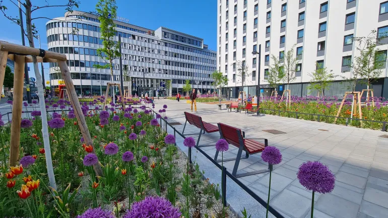 copyright: MA 28/Forster Platz mit Begrünung und Sitzgelegenheiten