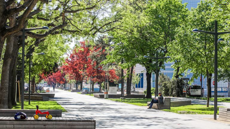 copyright: MA 28/Christian Fürthner Breiter Gehweg, links und rechts Bäume und Sitzbänke