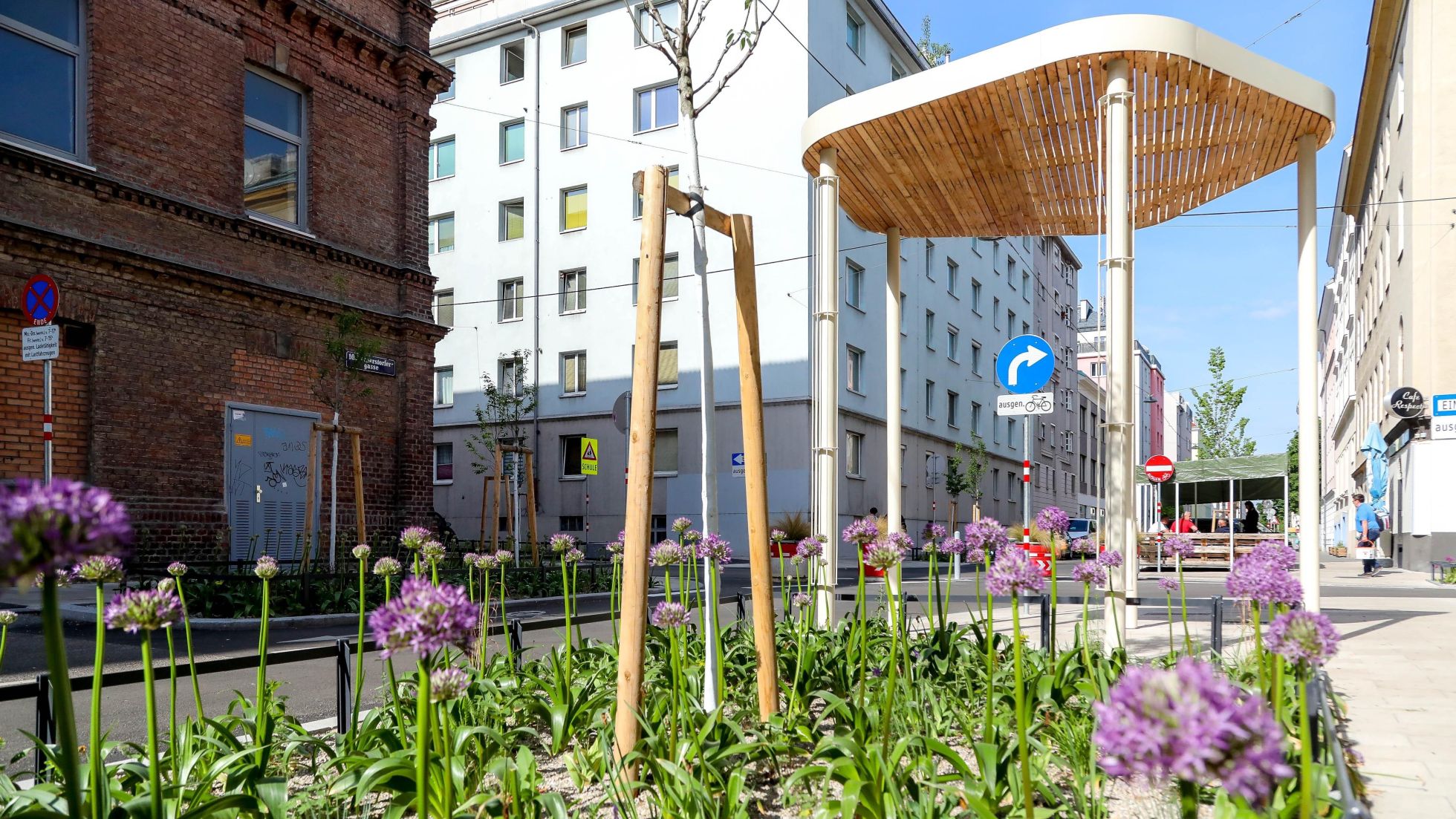 Lila Blumen blühen im Pflanzenbeet neben einer verkehrsberuhigten Straße.