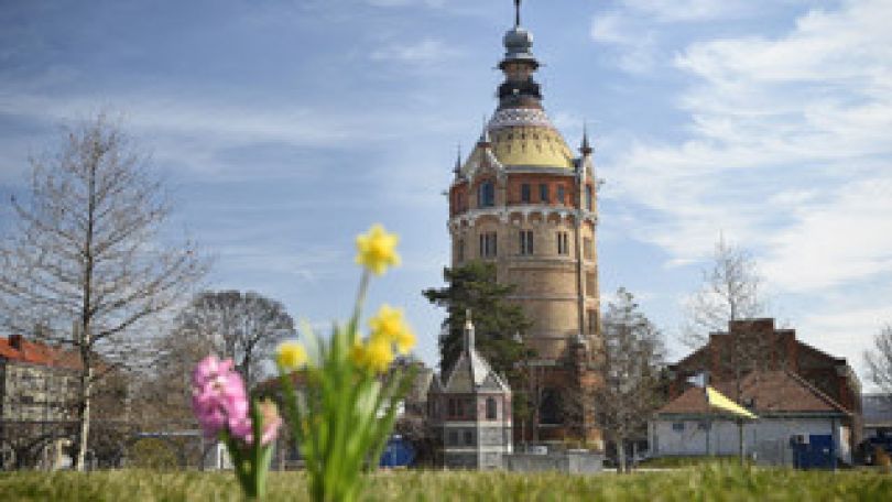 copyright: Wiener Wasser/Zinner Blumen im Vordergrund, im Hintergrund der Wasserturm Favoriten