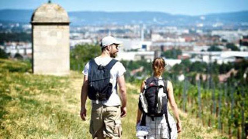 Mann und Frau wandern neben Weinstöcken
