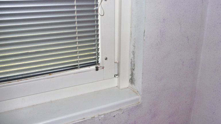 untere Ecke eines Fensters, Schimmelbildung an Teilen der Wand im Bereich der Fensterleibung