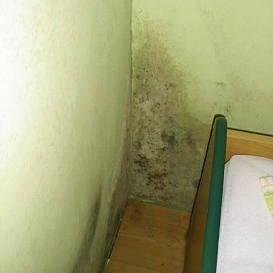 grün gestrichene Zimmerecke, große Schimmelpilzfläche hinter weggerücktem Bett