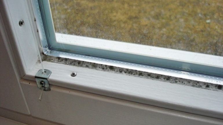 Ecke eines Fensters mit Schimmelpilz an der Scheibendichtung
