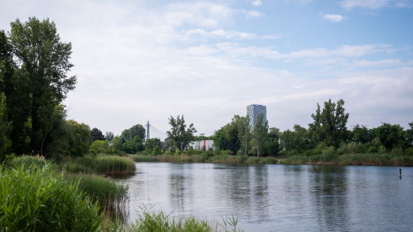 copyright: Stadt Wien / David Bohmann Blick über Wiener Naturgewässer