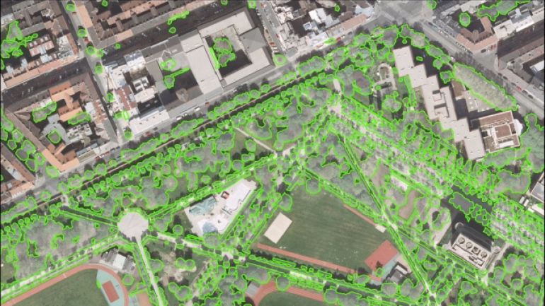 Überlagerung von Orthofoto und Vegetationsmaske, in der die Flächen mit Vegetation als Umfahrungspolygone dargestellt sind, im nördlichen Bereich des Augarten.