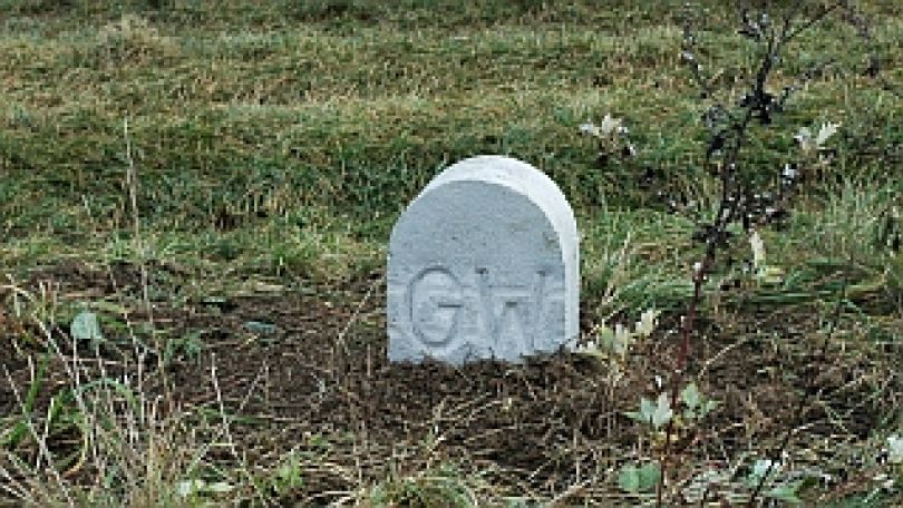 Spitze eines Grenzsteins der Gemeinde Wien mit der Aufschrift GW ragt aus Wiese.