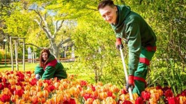 2 Menschen arbeiten in einem Blumenbeet